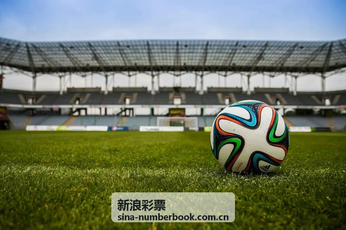 大乐透前区冷号追踪